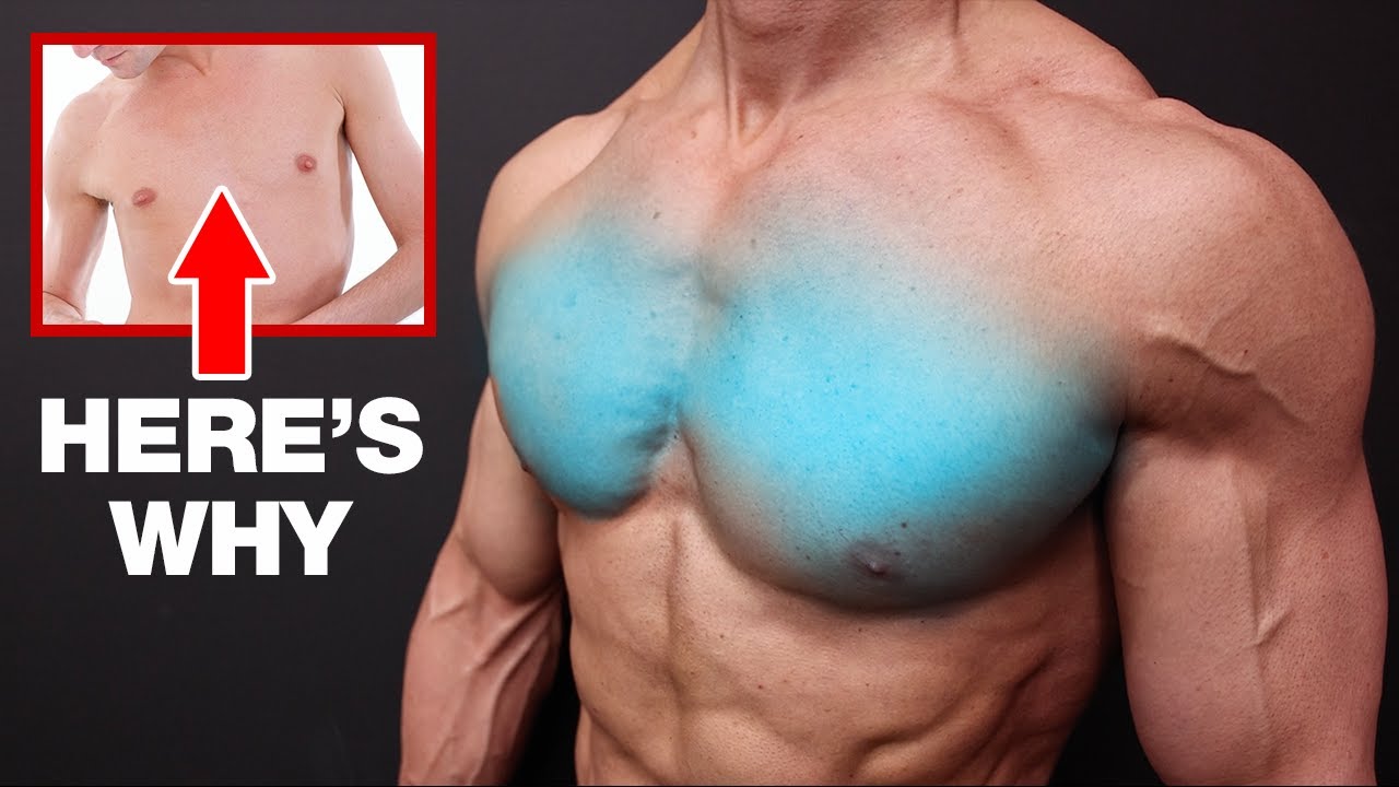 The dark side of pecs: Why training only your 'mirror muscles' is a bad  idea - 9Coach