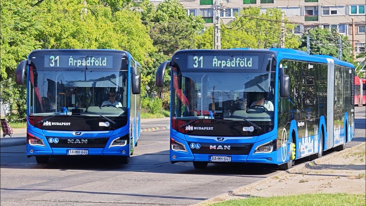 Utazás új MAN Lion's City C18 buszokkal a 31-es vonalán