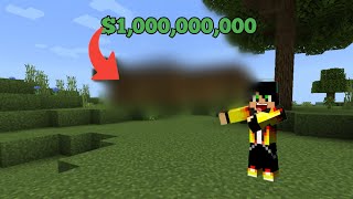 Moving to a billion dollar mansion(silence craft)