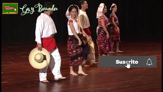 El zapateado del padre Rubén (#ConPasosBásicos) Baile folcklorico del estado de Chiapas, México