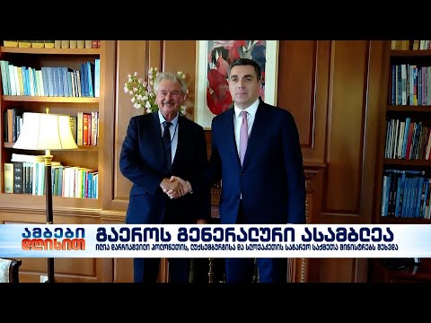 ილია დარჩიაშვილი პოლონეთის, ლუქსემბურგისა და სლოვაკიის საგარეო საქმეთა მინისტრებს შეხვდა