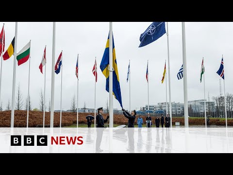 Sweden welcomed into Nato with accession ceremony | BBC News