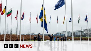 Sweden welcomed into Nato with accession ceremony | BBC News