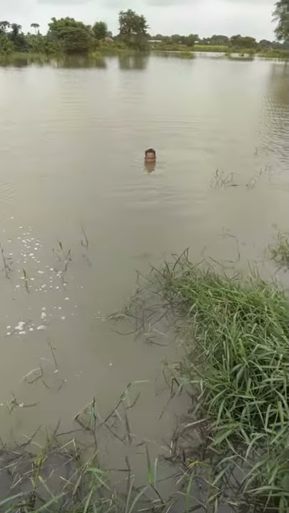 Detik detik di makan buaya