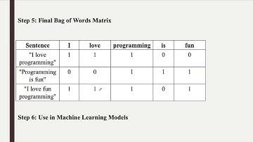 Lecture 53# Bag of Words(BoW) #bagofwords #bagofwordsinnlp #bagofwordsmodel #python