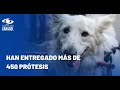 Proyecto para entregar prótesis a animales es liderada por un padre y su hijo