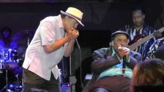 2013 Chicago Blues Festival - Finale - June 9, 2013