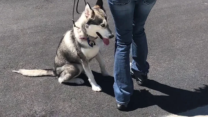 ASPEN TAKES THE LEAP