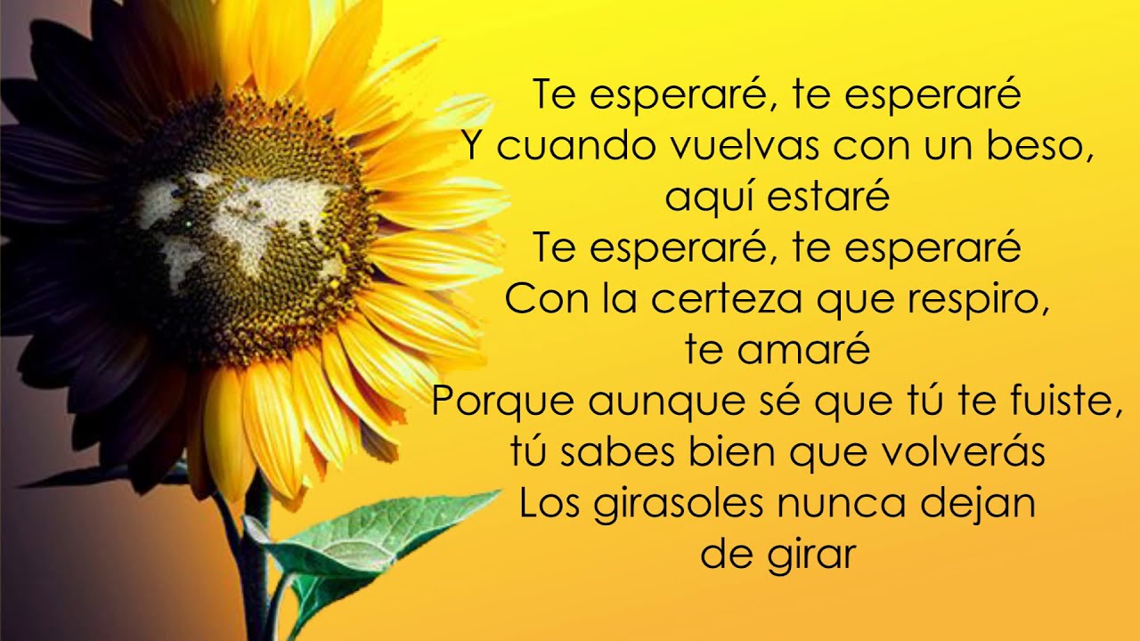 Total 114+ imagen letra de la cancion girasol