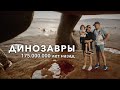 Самый большой в мире парк следов динозавров | Португалия