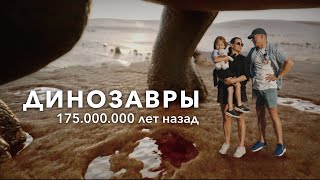 Самый большой в мире парк следов динозавров | Португалия