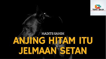 Hadits Sahih: Ternyata Anjing Hitam Itu Jelmaan SETAN