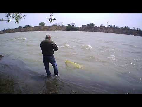 სასროლი ბადით თევზაობა მტკვარზე