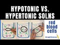 Hypotonic Hypertonic and Isotonic Solutions - What happens to a red blood cell?