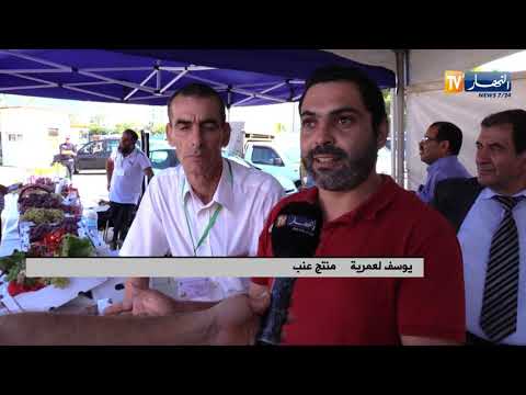فلاحة أصناف العنب بالجزائر  الأكثر إنتشارا و  للتصدير