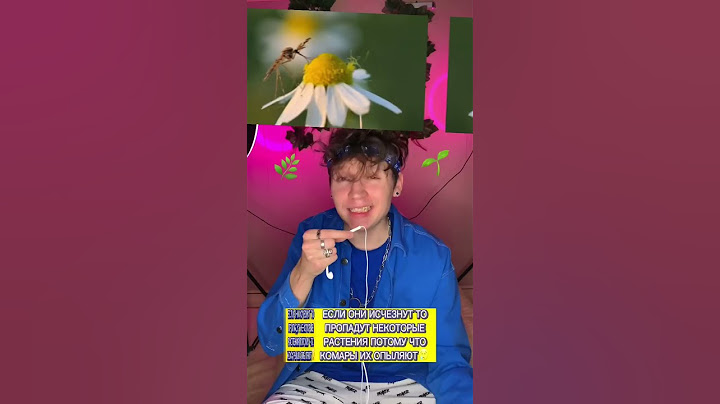 ЧТО БУДЕТ ЕСЛИ КОМАРЫ ИСЧЕЗНУТ😱❗️❓