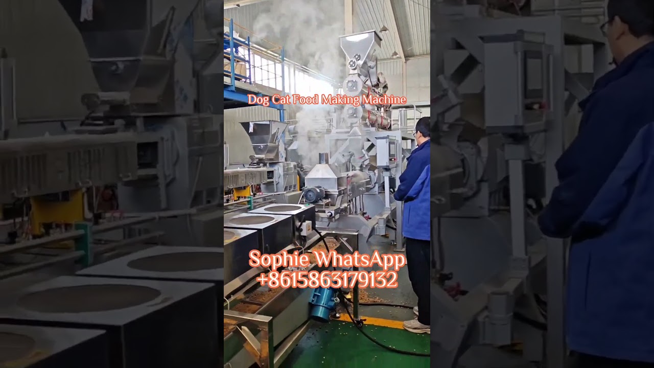 Dry Kibble Dog Cat Pet Food Making Machine Twin Screw Extruder 500kg per hour 