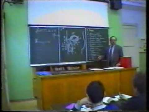 Урок 2 Часть 1 Анатомия половых органов