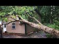 Dangerous Idiots Tree Felling Fails With Chainsaw, Heavy Big Tree Removal Failling On Houses