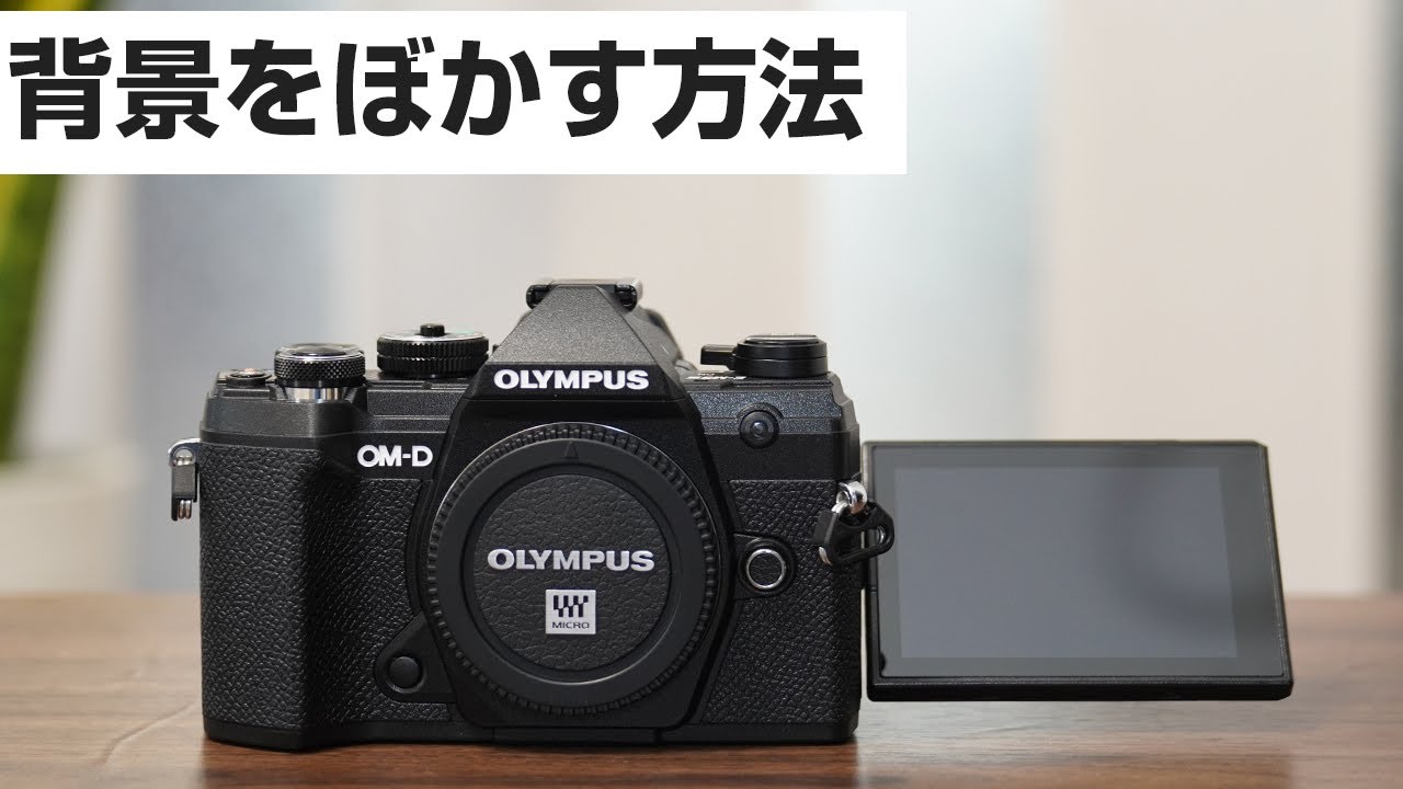 背景を程よくボカす設定 Olympus Om D E M5 Mark Iii で解説 富士山を背景に記念撮影