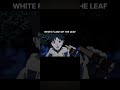 Kakashi hatake it's copy Ninja now you understand by