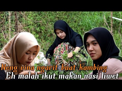 Perjuangan Gadis Kampung Neng Vina Rajin Mencari Rumput || Looking For Grass With a Village Girl