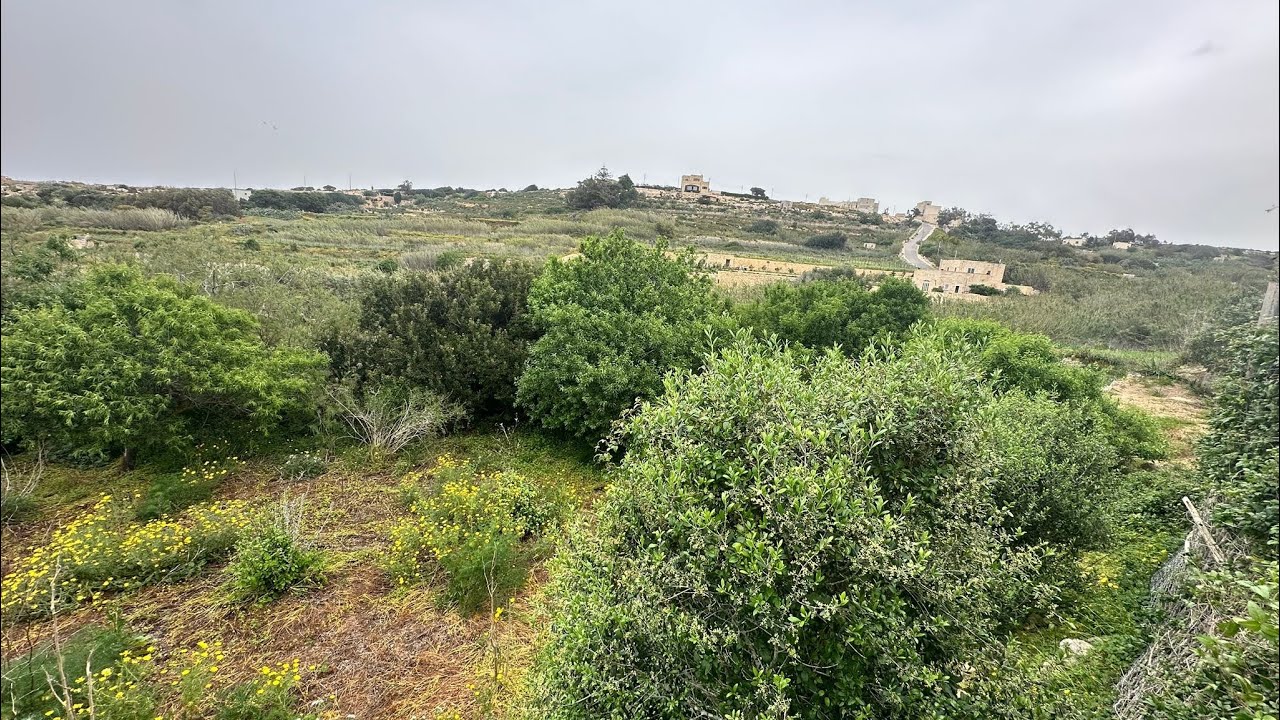 🌿 FOR SALE | Baħrija | 10 Tumoli Fully Permitted Farm