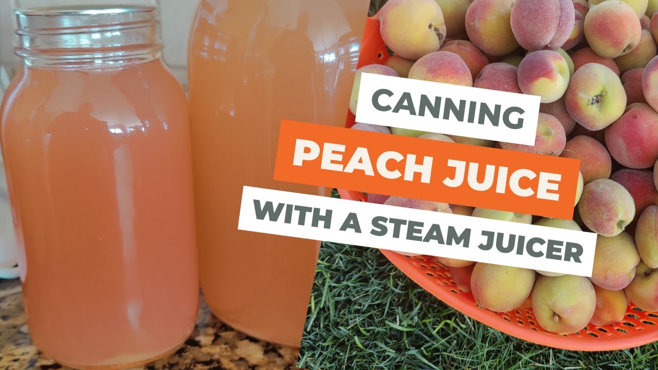 Canning Peach Juice - Using a Steam Juicer PART 1 