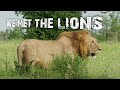 Kenya travel vlog we found the Lions in Tsavo west  Kenya Safari day 4