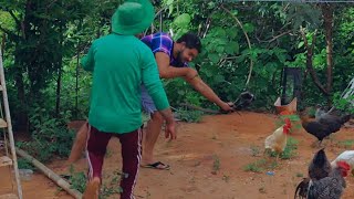 joaquim tentou matar o galo de seu antonio #videosengraçados #piadas #pegadinha