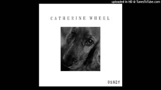 Video thumbnail of "Catherine Wheel - Our Friend Joey (I Want To Touch You LTD ED CD EP, 4-92)"