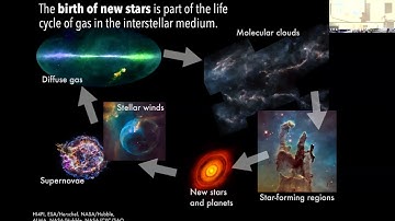 CITA 1019: Magnetism and morphology in the interstellar medium