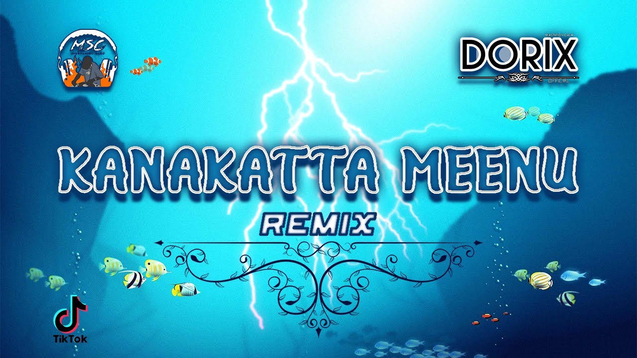 DJ Dorix   Kanakatta Meenu Mix  2021