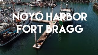 Drone view of Noyo Harbor, Fort Bragg