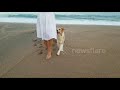 Hilarious moment graceful border collie performs synchronised dance with owner on Spanish beach