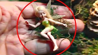 15 Real Fairies Caught On Camera And Seen In Real Life