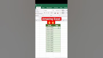 Magic in Excel | Excel age count Function | Excel tutorial #excel #exceltutorial #tips