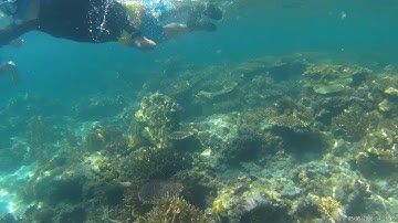 GitUp Git2 actioncam - underwater test 2