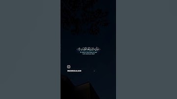 سورة الرحمن الاية (١٩-٢٥) - عمير شميم #قرآن #القرآن_الكريم #عمر_شميم #سورة_الرحمن