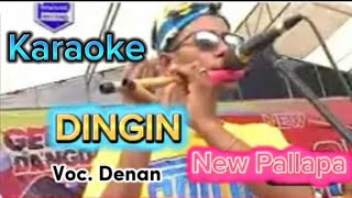 DINGIN Karaoke New Pallapa cowok