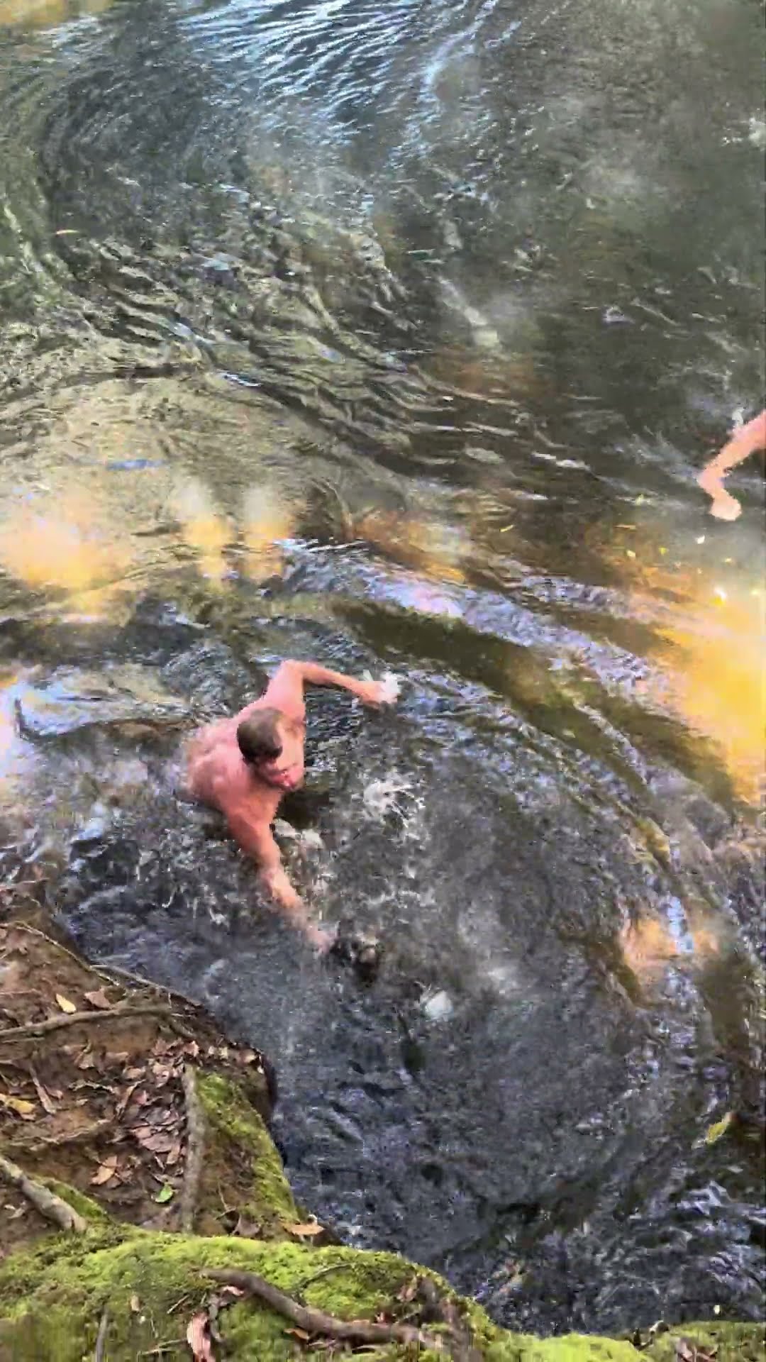 Elderly Dog Is No Longer Buoyant || ViralHog