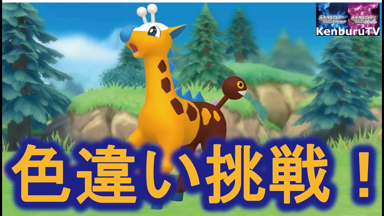 目指せ40連以上 ポケトレで色違いキリンリキを狙ってみたライブ配信 ポケモンシャイニングパールbdsp Youtube