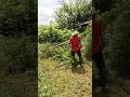 Grass Was Up To 15 FEET Tall Grass Was Up To 15 FEET Tall