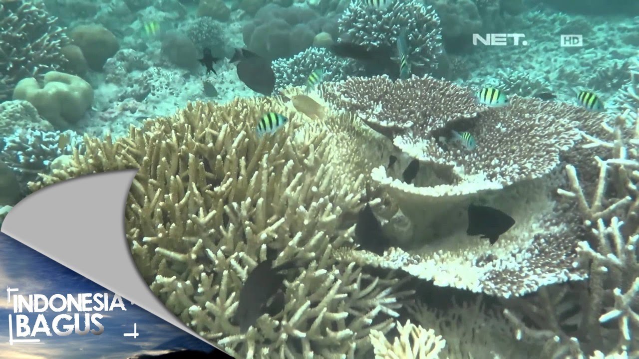  Indonesia Bagus  Pulau Banyak Surga di Ujung Indonesia  