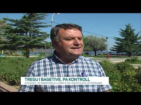 Video: Si Të Merrni Një Certifikatë Veterinare