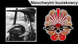 STRACHY NA LACHY - Nieuchwytni buziakowcy [OFFICIAL AUDIO] chords