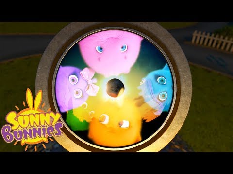 Cartoons For Children | SUNNY BUNNIES - THROUGH THE LENS | Funny Cartoons For Children