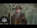 Radagast the Brown - Epic Character History