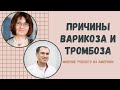 Причины варикоза и тромбоза. Мнение ученого из Америки. Флеболог Москва.