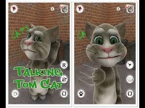 Tom cat 5